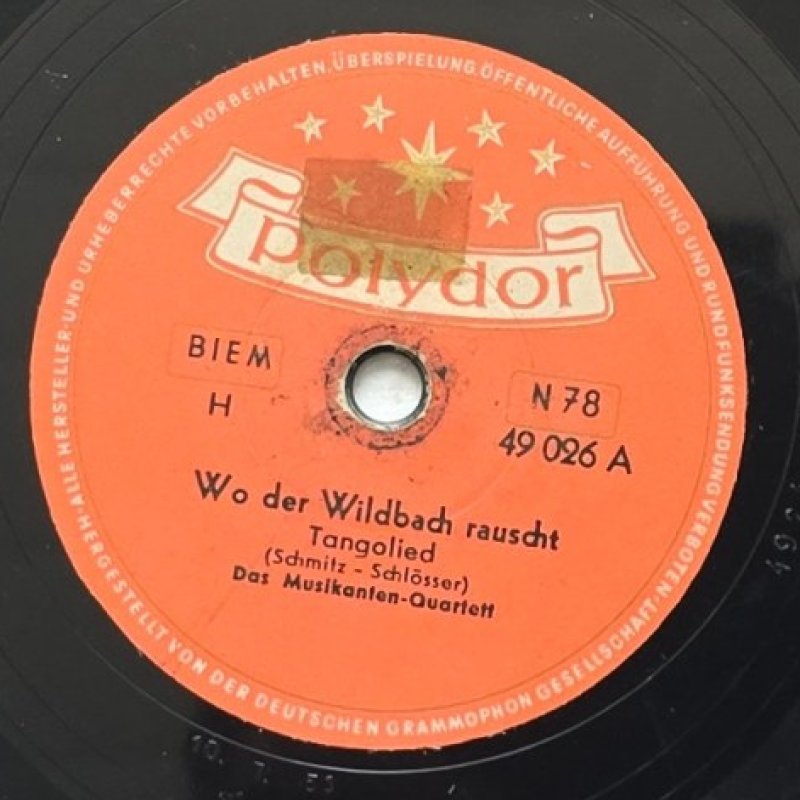 Das Musikanten-Quartett - Wo der Wildbach rauscht