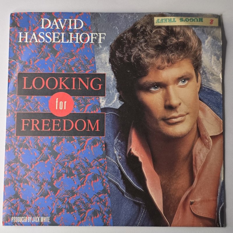 David Hasselhoff - Looking For Freedom