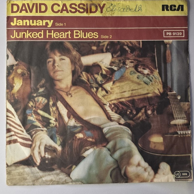 David Cassidy - January
