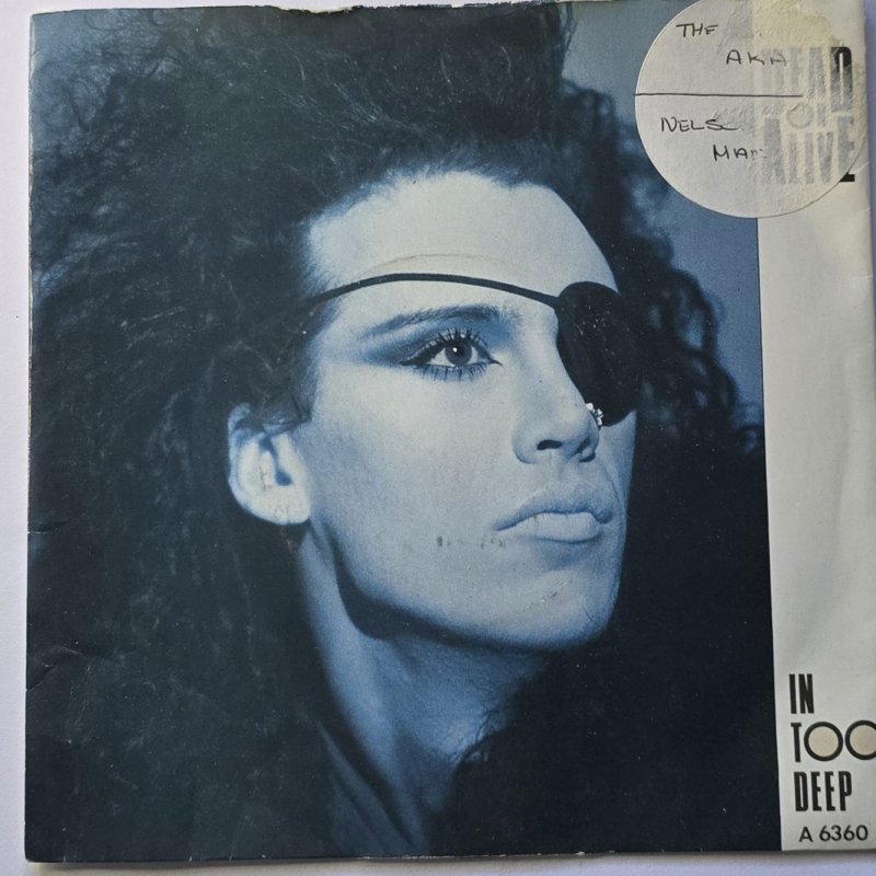 Dead or Alive - In Too Deep