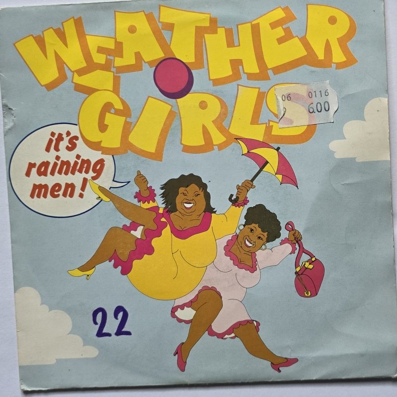 The Weather Girls - It's Raining Men