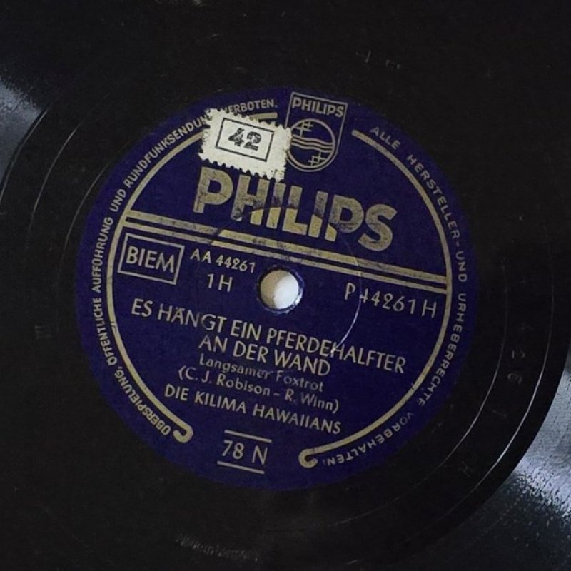 Die Kilima Hawaiians - Es h�ngt ein Pferdehalfter an der Wand