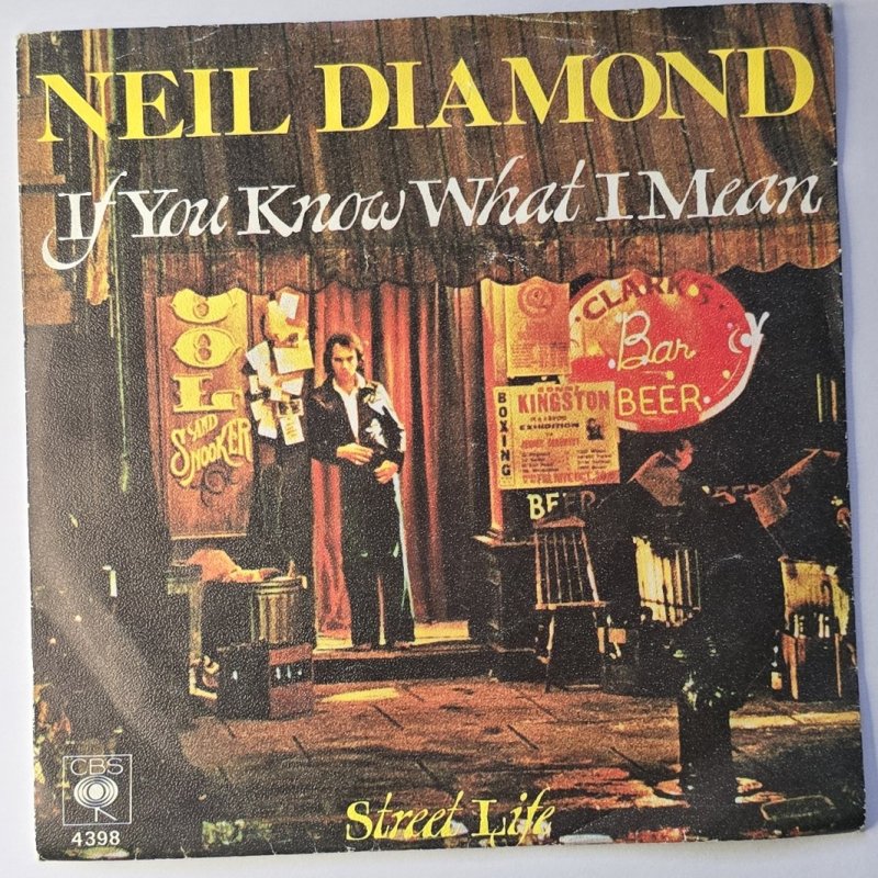 Neil Diamond - If You Know What I Mean