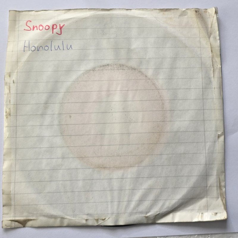 Snoopy - Honolulu
