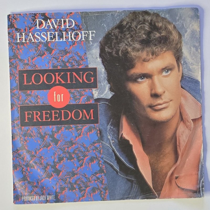 David Hasselhoff - Looking For Freedom