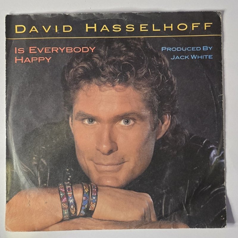 David Hasselhoff - Is Everybody Happy - Euro-Mix