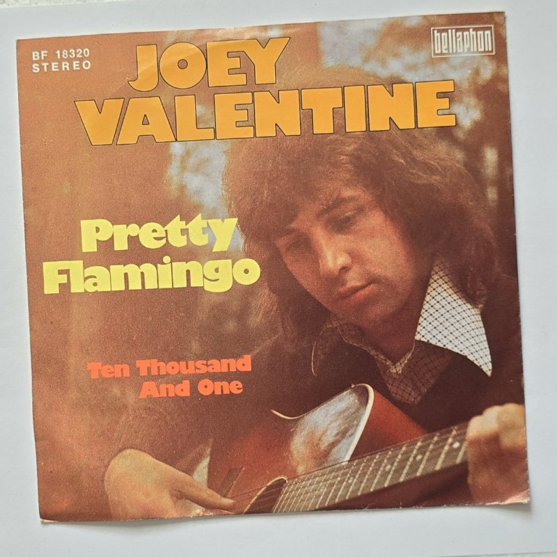 Joey Valentine - Pretty Flamingo